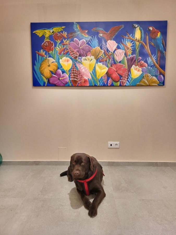 Willa Casa Do Alambique Alvaredo Zewnętrze zdjęcie